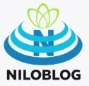 پایان نامه علوم سیاسی و روابط بین الملل 